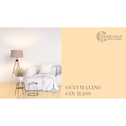 GULVMALING GIN HASS NY.jpg